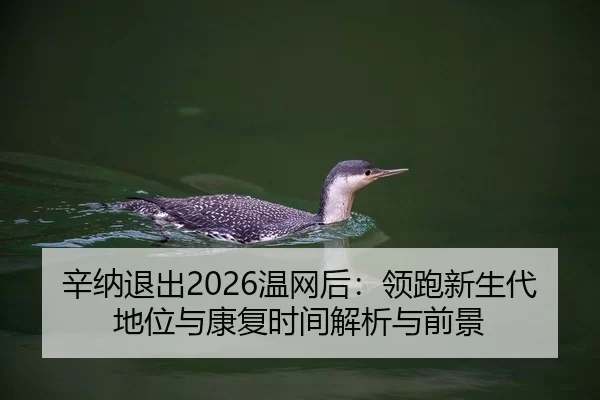 辛纳退出2026温网后：领跑新生代地位与康复时间解析与前景