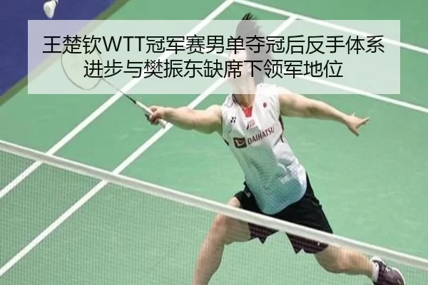 王楚钦WTT冠军赛男单夺冠后反手体系进步与樊振东缺席下领军地位